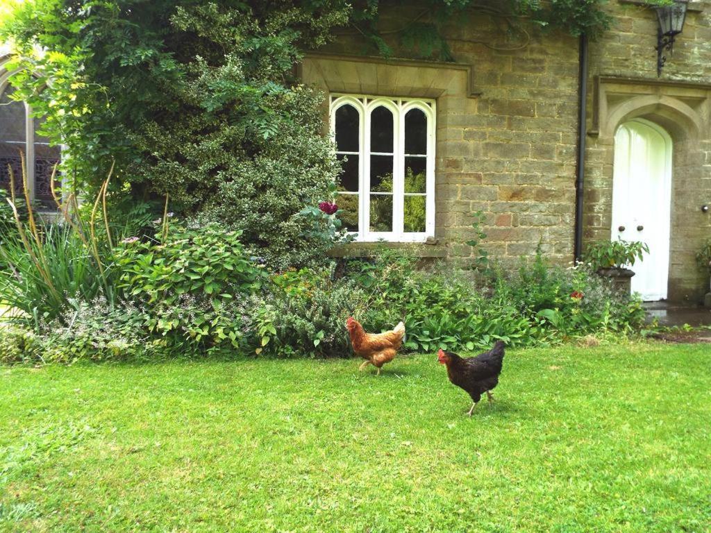 Old Vicarage B&B Coleford  Dış mekan fotoğraf